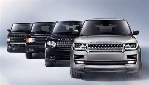 我國汽車租賃市場 發展初期蓄勢待發，展覽服務助推行業騰飛